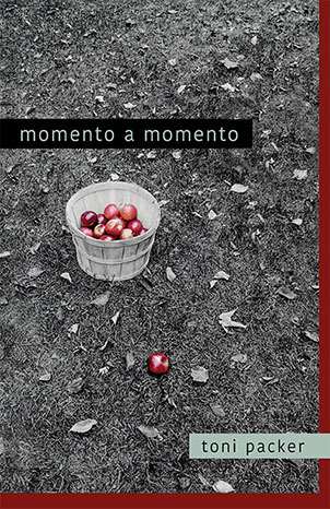 Portada de MOMENTO A MOMENTO
