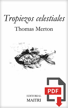 Portada de TROPIEZOS CELESTIALES